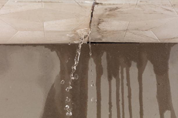 Professional Structural Drying technician working in Dane, WI